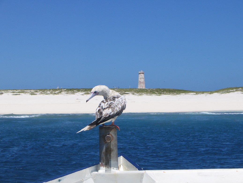 Baker Island Marine Research