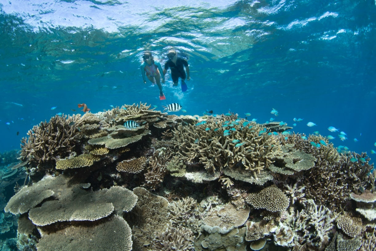 Baker Island Snorkeling and Diving