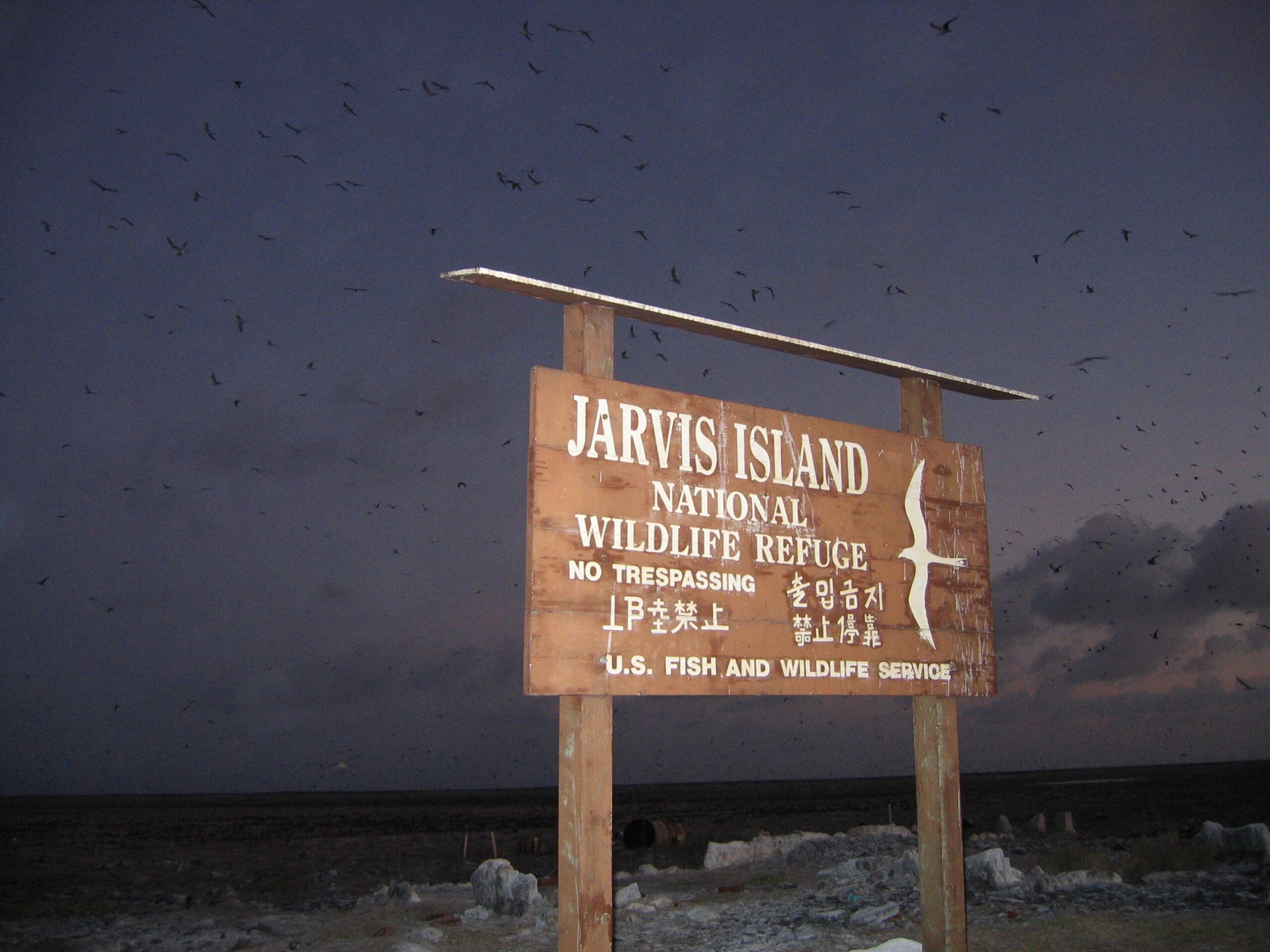 Jarvis Island Photography
