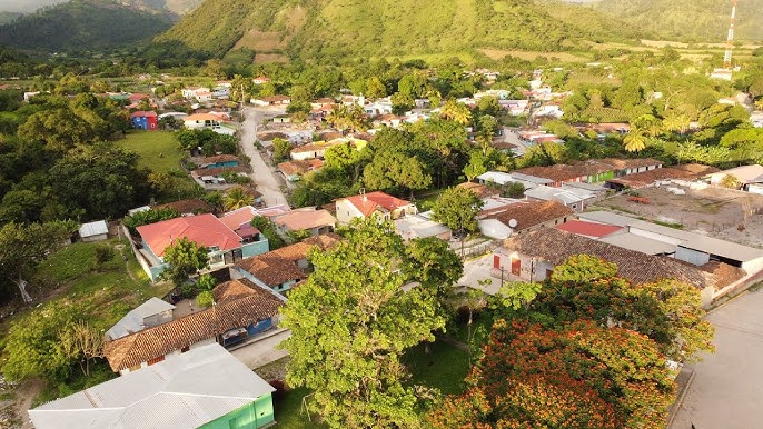 Guata