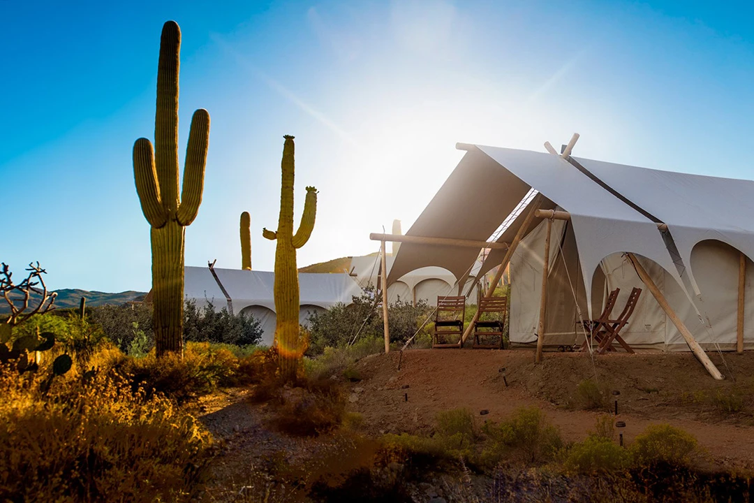 The Sonoran Desert, United States